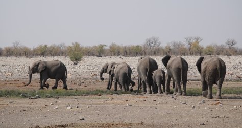 DSC09316.JPG DSC09316.JPG