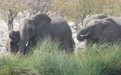 DSC09321.JPG DSC09321.JPG