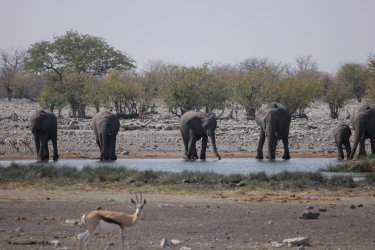 08101732.JPG 08101732.JPG