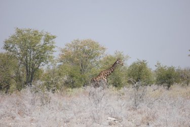 08101733.JPG 08101733.JPG