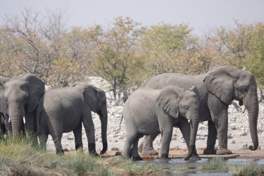 DSC09330.JPG DSC09330.JPG