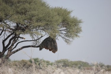 08101734.JPG 08101734.JPG