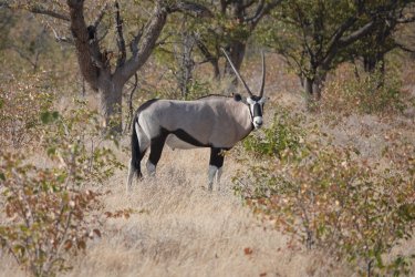 DSC09239.JPG DSC09239.JPG