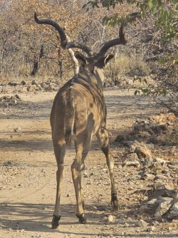 20240810_164342.jpg 20240810_164342.jpg