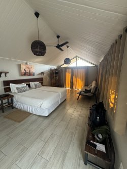 IMG_2456.JPG IMG_2456.JPG