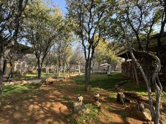 IMG_2471.JPG IMG_2471.JPG