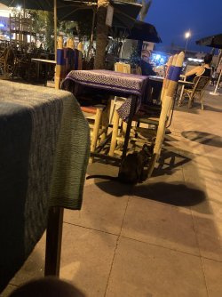 IMG_1882.jpeg IMG_1882.jpeg