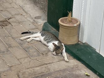 IMG_1865.jpeg IMG_1865.jpeg