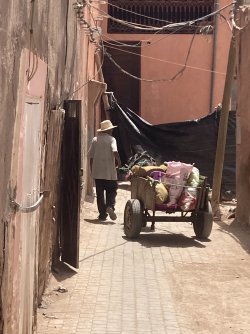 IMG_1811.jpeg IMG_1811.jpeg