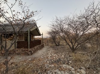 IMG_2608.JPG IMG_2608.JPG