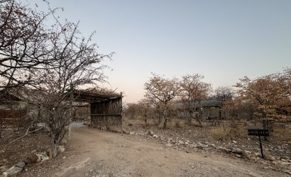 IMG_2609.JPG IMG_2609.JPG