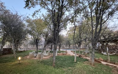 IMG_2610.JPG IMG_2610.JPG