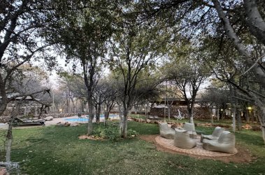 IMG_2611.JPG IMG_2611.JPG