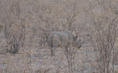 DSC09340.JPG DSC09340.JPG