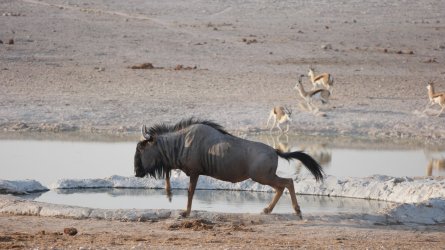 08111737.JPG 08111737.JPG