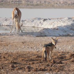 08111738.JPG 08111738.JPG