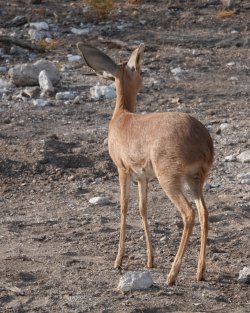 DSC09346.JPG DSC09346.JPG