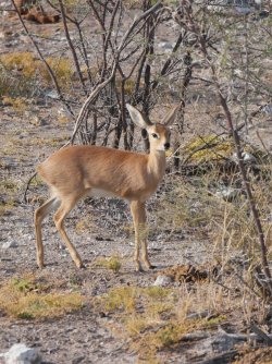 08111745.JPG 08111745.JPG