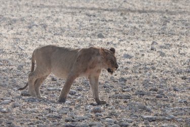 DSC09348.JPG DSC09348.JPG