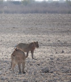 DSC09350.JPG DSC09350.JPG