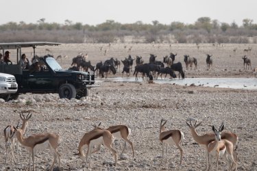 DSC09351.JPG DSC09351.JPG