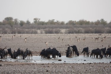 DSC09353.JPG DSC09353.JPG