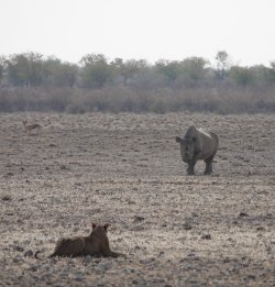 DSC09355.JPG DSC09355.JPG