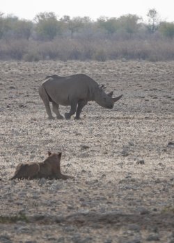 DSC09356.JPG DSC09356.JPG