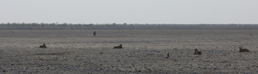 08111754.JPG 08111754.JPG