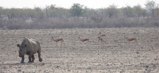 DSC09358.JPG DSC09358.JPG