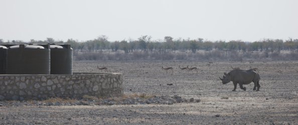 08111762.JPG 08111762.JPG