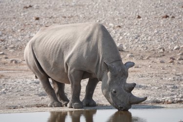 DSC09360.JPG DSC09360.JPG