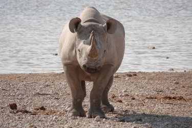 DSC09367.JPG DSC09367.JPG