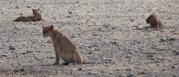 DSC09393.JPG DSC09393.JPG