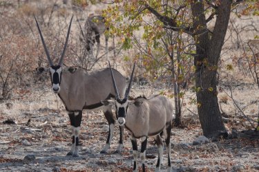 DSC09394.JPG DSC09394.JPG