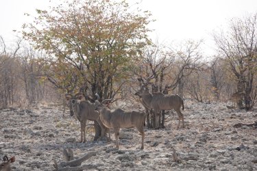 DSC09396.JPG DSC09396.JPG