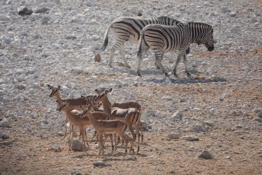 DSC09399.JPG DSC09399.JPG