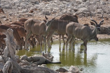 DSC09407.JPG DSC09407.JPG