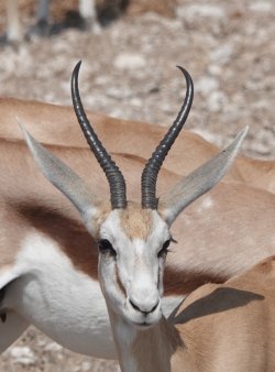 DSC09410b.JPG DSC09410b.JPG