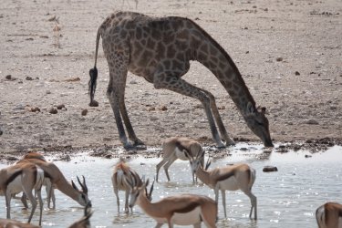 DSC09411.JPG DSC09411.JPG