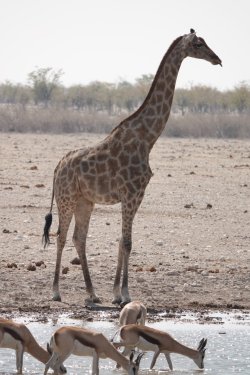 DSC09414.JPG DSC09414.JPG