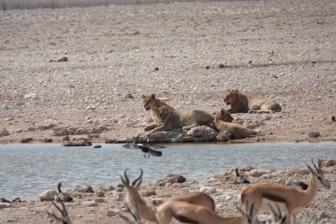 DSC09415.JPG DSC09415.JPG