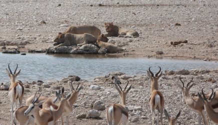 08111790.JPG 08111790.JPG