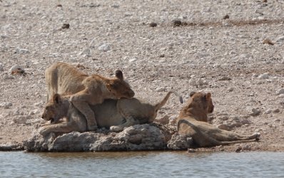 DSC09428.JPG DSC09428.JPG