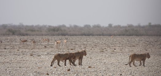 DSC09431.JPG DSC09431.JPG