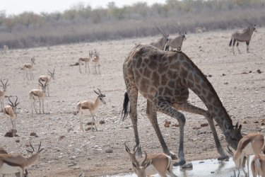 DSC09432.JPG DSC09432.JPG