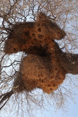 DSC09439.JPG DSC09439.JPG