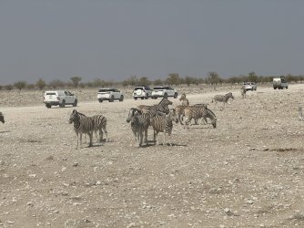 IMG_2628.JPG IMG_2628.JPG