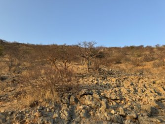 IMG_2646.JPG IMG_2646.JPG