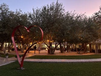 IMG_2654.JPG IMG_2654.JPG